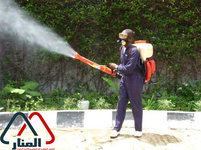 شركة مكافحة حشرات بالامارات