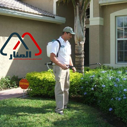 شركة مكافحة حشرات بالامارات